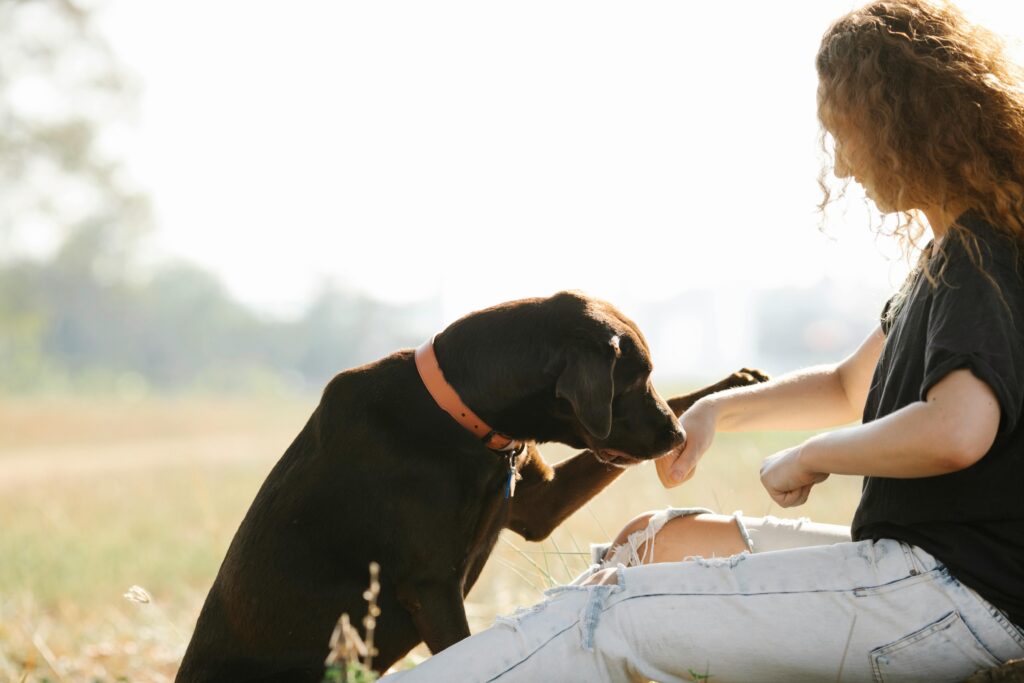 Woman sits with Labrador retriever in field, showcasing a heartwarming human-animal bond.
