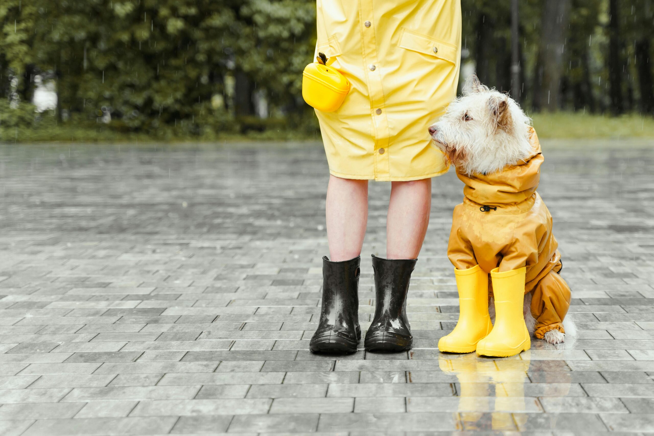 Raincoat Day