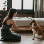 A smiling woman kneels and interacts with a Shiba Inu dog in a stylish bedroom setting.