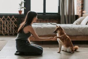 A smiling woman kneels and interacts with a Shiba Inu dog in a stylish bedroom setting.