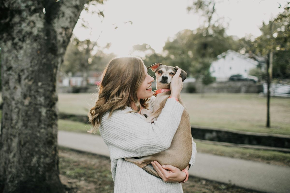 A joyful woman hugs her pet dog outdoors in a sunny park setting, showcasing affection and togetherness.