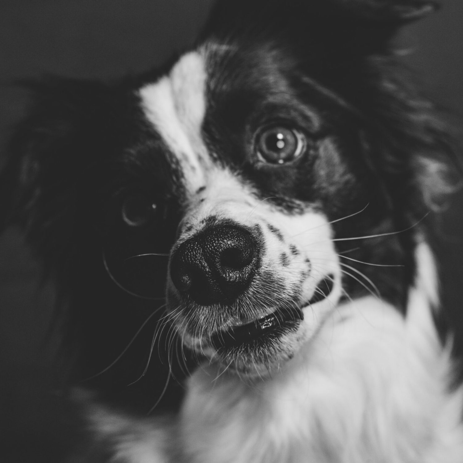 pexels-photo-32635878-32635878-5